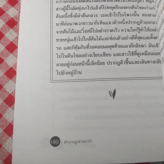 ตำนานภูเขาและป่า - Bernard Clavel รูปที่ 14