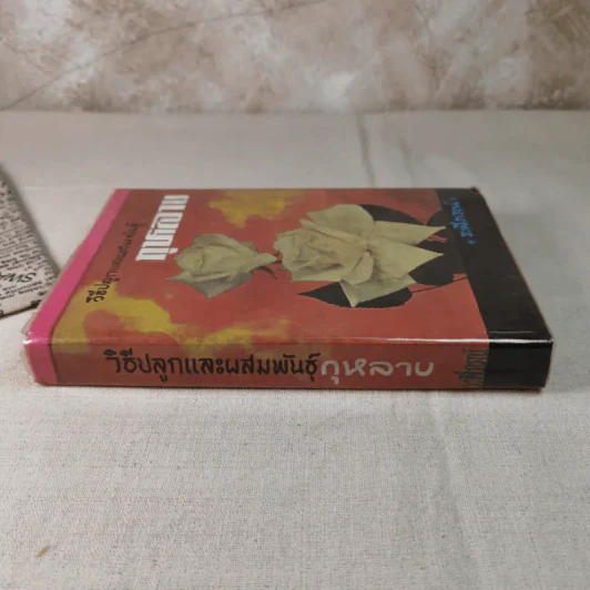 วิธีปลูกและผสมพันธุ์กุหลาบ - ระพีภรณ์ รูปที่ 3