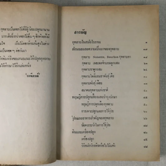 วิธีปลูกและผสมพันธุ์กุหลาบ - ระพีภรณ์ รูปที่ 11