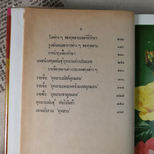 วิธีปลูกและผสมพันธุ์กุหลาบ - ระพีภรณ์ รูปที่ 14