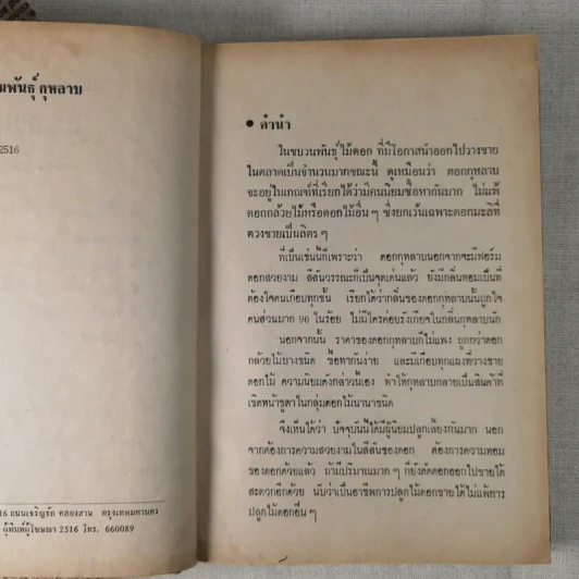วิธีปลูกและผสมพันธุ์กุหลาบ - ระพีภรณ์ รูปที่ 10