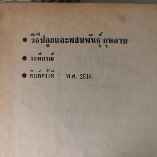 วิธีปลูกและผสมพันธุ์กุหลาบ - ระพีภรณ์ รูปที่ 9