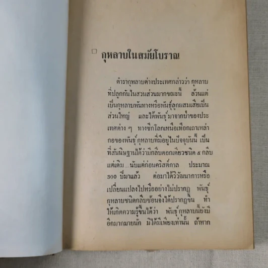 วิธีปลูกและผสมพันธุ์กุหลาบ - ระพีภรณ์ รูปที่ 16
