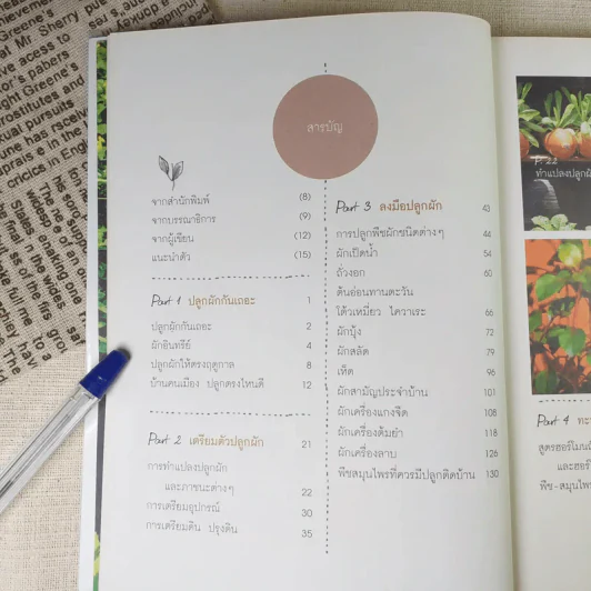 ปลูกผักกันเถอะ - ศิริกุล ชื่อต่อชาติ (ป้อม) รูปที่ 10