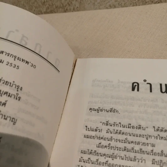 ยังไม่สิ้นกลิ่นรัก - อีแร้ง รูปที่ 9