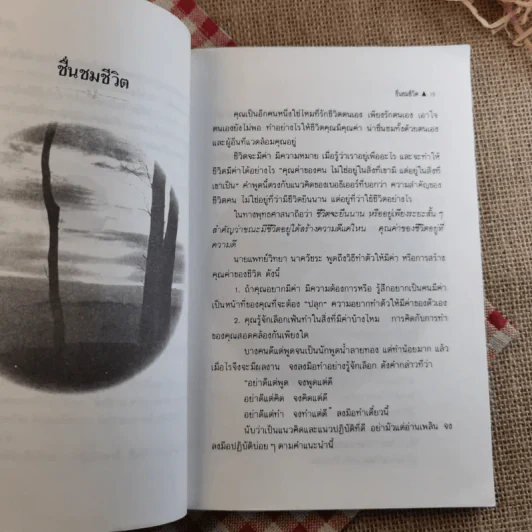 แสงทองแห่งชีวิต - อ้อม ประนอม รูปที่ 15