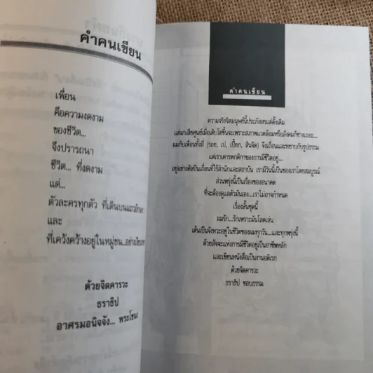 ศิลปินเถื่อน - ธราธิป รูปที่ 8