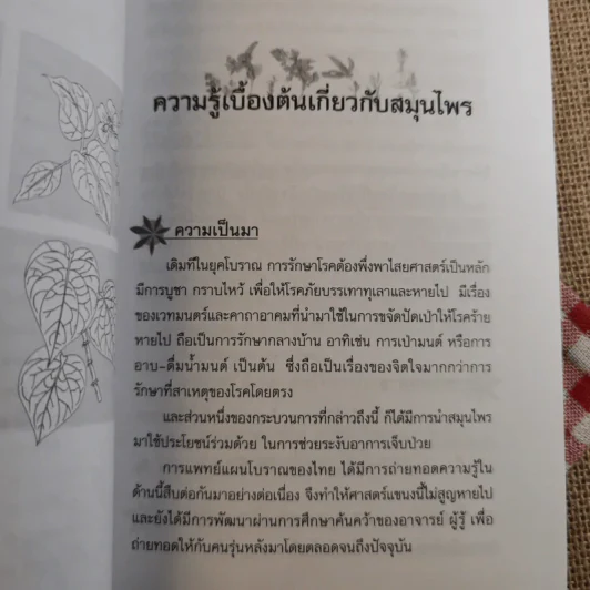 ยาสมุนไพร รักษาตามอาการ ตั้งแต่ศีรษะจรดเท้า - ดร.ปทัตตา ภริตาธรรม รูปที่ 12