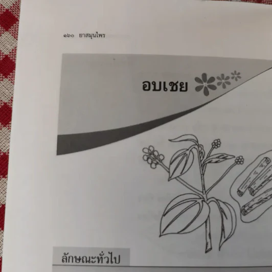 ยาสมุนไพร รักษาตามอาการ ตั้งแต่ศีรษะจรดเท้า - ดร.ปทัตตา ภริตาธรรม รูปที่ 14