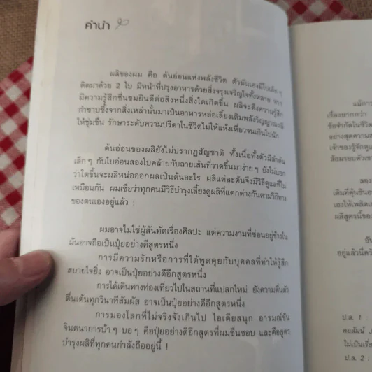 ผลิ - เจหวาน (คำนิยม อุดม แต้พานิช) รูปที่ 8