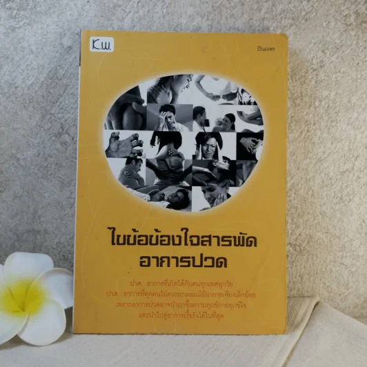 ไขข้อข้องใจสารถัดอาการปวด - ปัณณพร รูปที่ 1