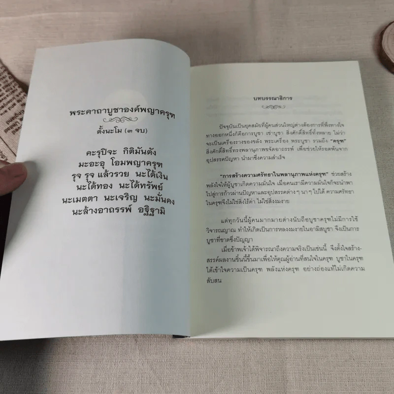 พลังแห่งครุฑ พลังอันยิ่งใหญ่ ครุฑ - กฤษฎา กฤษณะเศรณี, ครุฑา นาคาพงศ์ รูปที่ 8