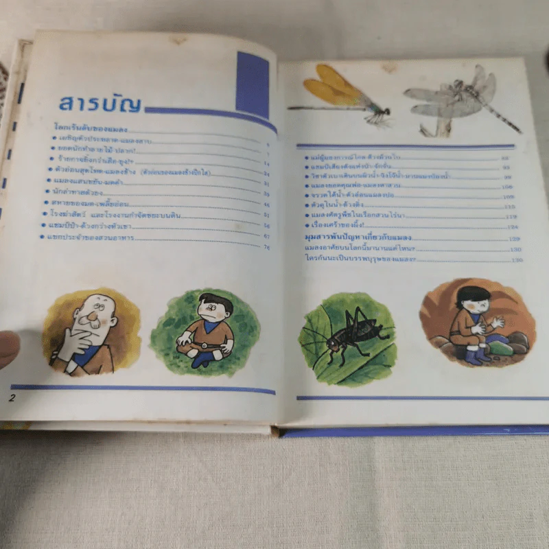 โลกเร้นลับของแมลง (การ์ตูนชุดความรู้ธรรมชาติมหัศจรรย์ลำดับที่ 4) รูปที่ 8