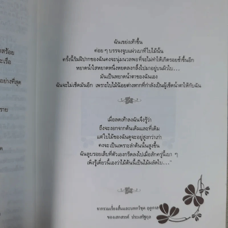 ใบไม้ที่หายไป - จิระนันท์ พิตรปรีชา รูปที่ 15