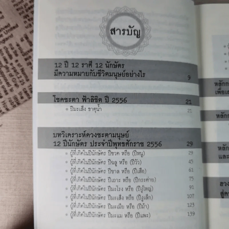 โชคชะตาฟ้าลิขิตปี 2556 - อ.ชนม์ทรรศน์ ฤทัยผ่อง (ซินแสเข่ง) รูปที่ 8