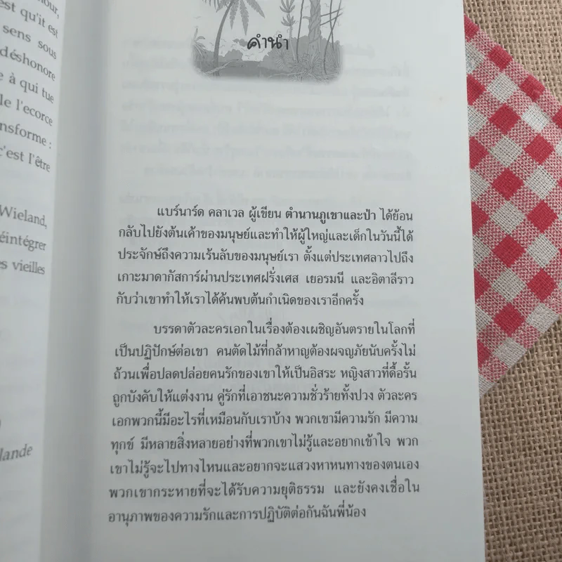 ตำนานภูเขาและป่า - Bernard Clavel รูปที่ 9