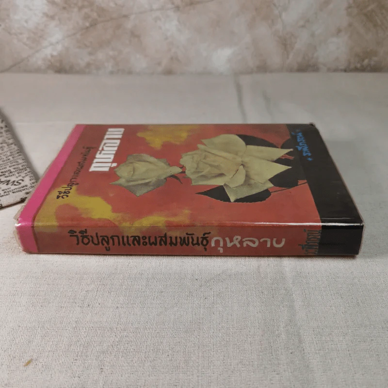 วิธีปลูกและผสมพันธุ์กุหลาบ - ระพีภรณ์ รูปที่ 3