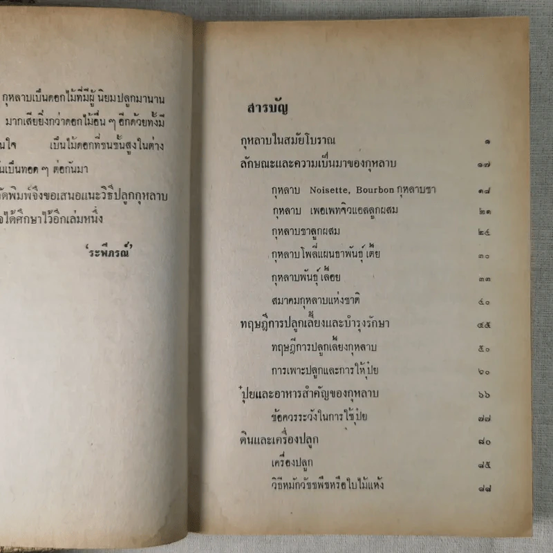 วิธีปลูกและผสมพันธุ์กุหลาบ - ระพีภรณ์ รูปที่ 11