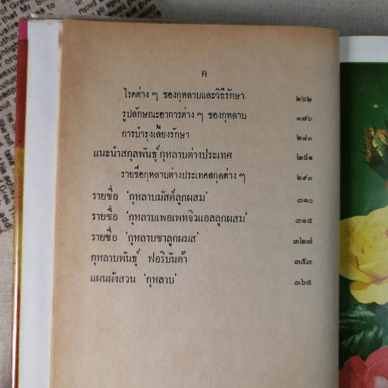 วิธีปลูกและผสมพันธุ์กุหลาบ - ระพีภรณ์ รูปที่ 14