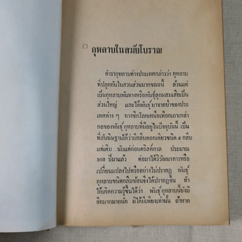 วิธีปลูกและผสมพันธุ์กุหลาบ - ระพีภรณ์ รูปที่ 16