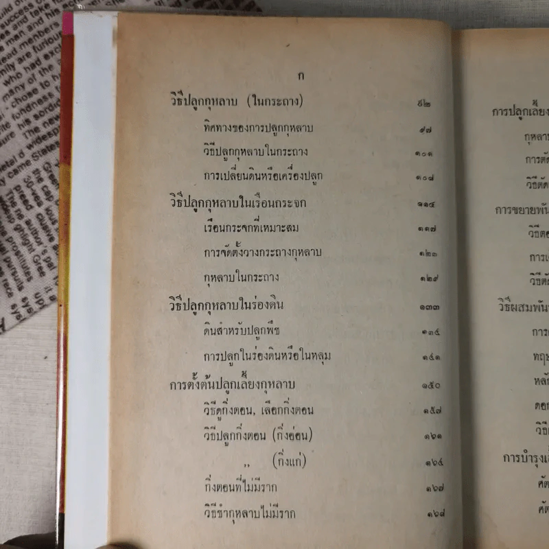 วิธีปลูกและผสมพันธุ์กุหลาบ - ระพีภรณ์ รูปที่ 12