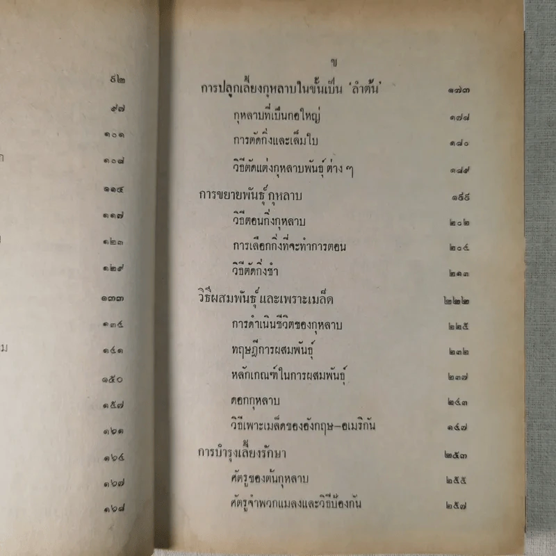 วิธีปลูกและผสมพันธุ์กุหลาบ - ระพีภรณ์ รูปที่ 13