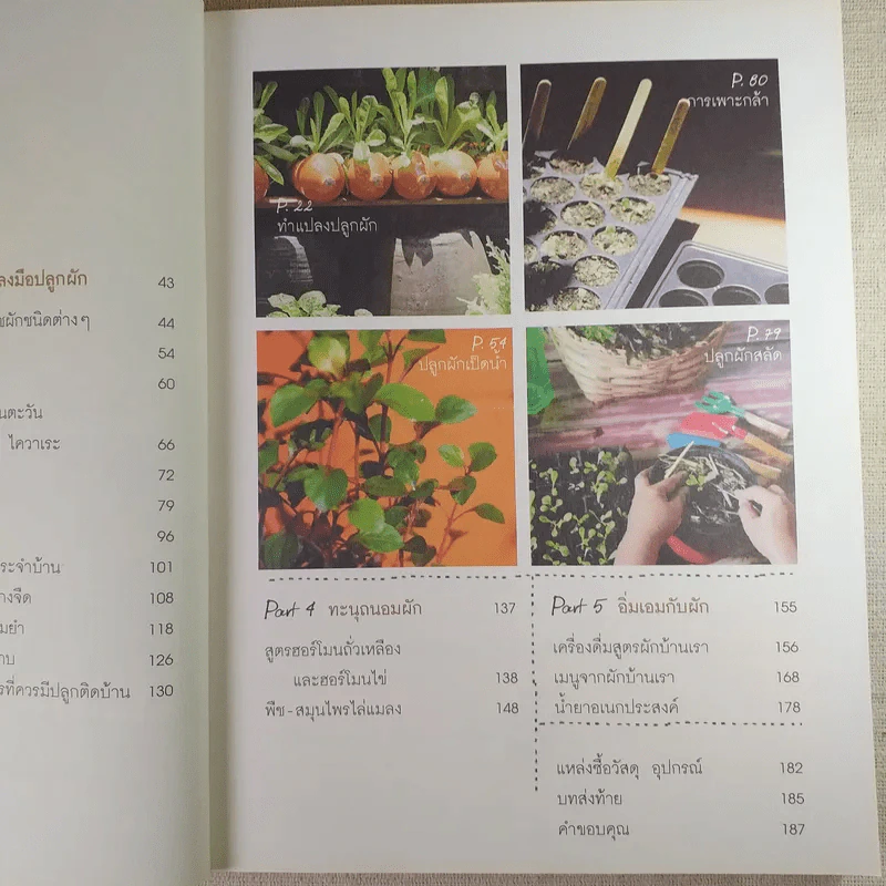 ปลูกผักกันเถอะ - ศิริกุล ชื่อต่อชาติ (ป้อม) รูปที่ 11