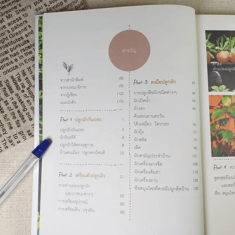 ปลูกผักกันเถอะ - ศิริกุล ชื่อต่อชาติ (ป้อม) รูปที่ 10