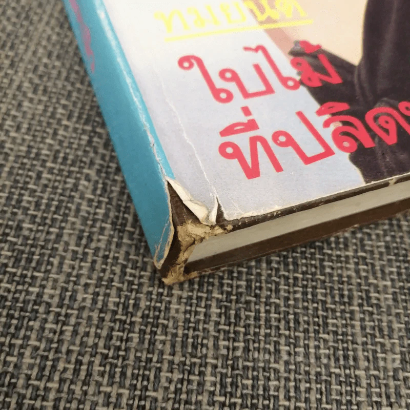 ใบไม้ที่ปลิดปลิว - ทมยันตี รูปที่ 12