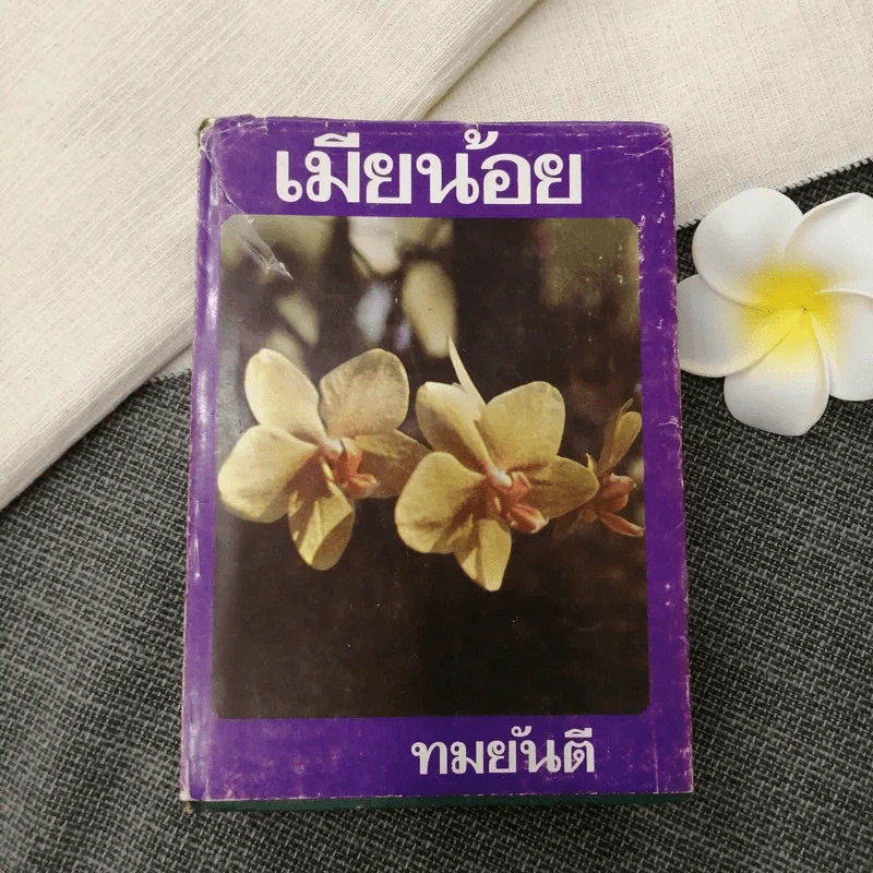 เมียน้อย เล่มจบ - ทมยันตี รูปที่ 1