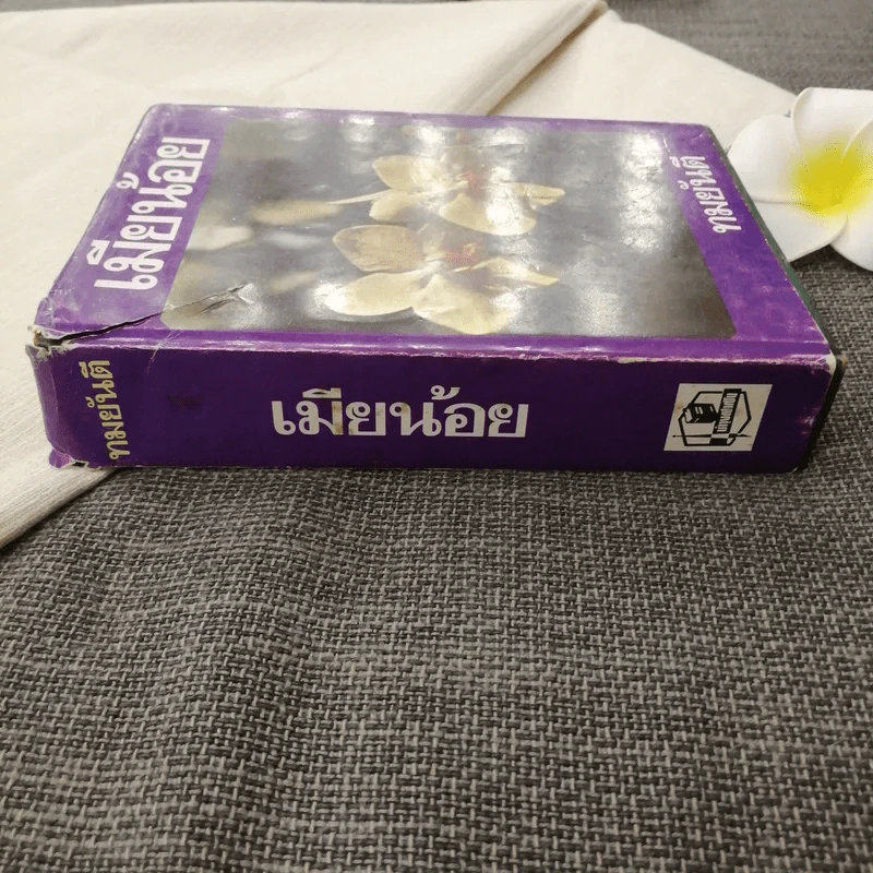 เมียน้อย เล่มจบ - ทมยันตี รูปที่ 2