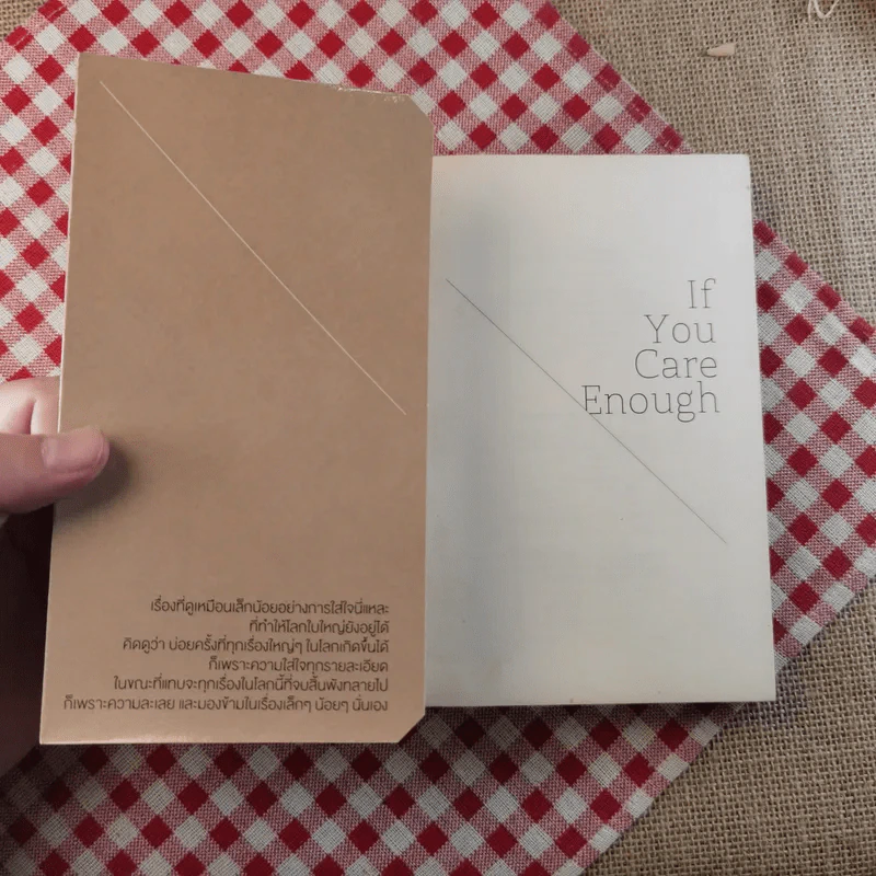 If You Care Enough - วิไลรัตน์ เอมเอี่ยม รูปที่ 7