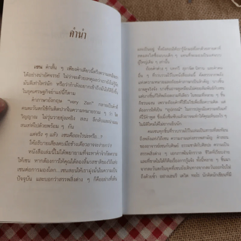 ก้าวไปกับเซน - เครือเถา รูปที่ 10
