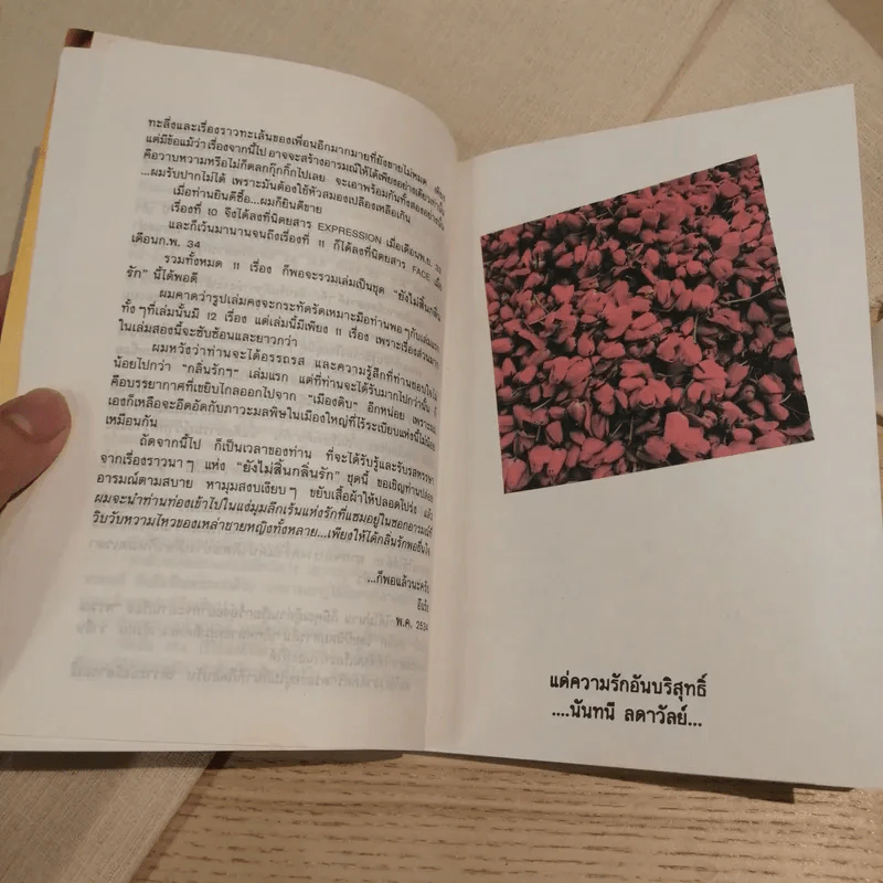 ยังไม่สิ้นกลิ่นรัก - อีแร้ง รูปที่ 11