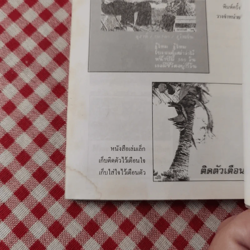 มโนสาเร่ เท่สาระ - ขะม้อ, ชฎิล, สุวัฒโน, อุสาห์ รูปที่ 13