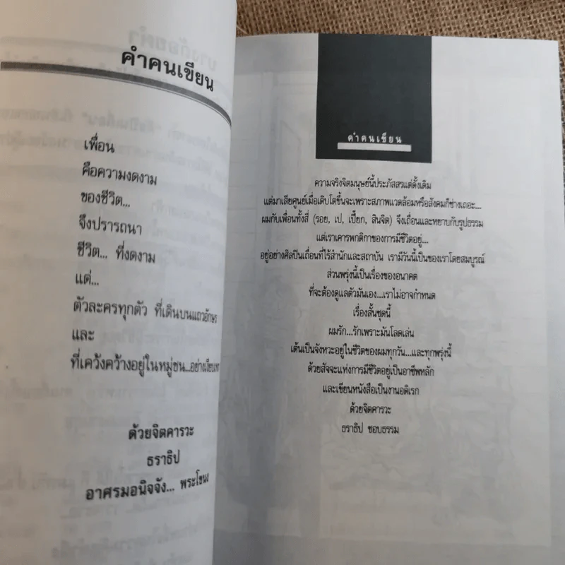 ศิลปินเถื่อน - ธราธิป รูปที่ 8