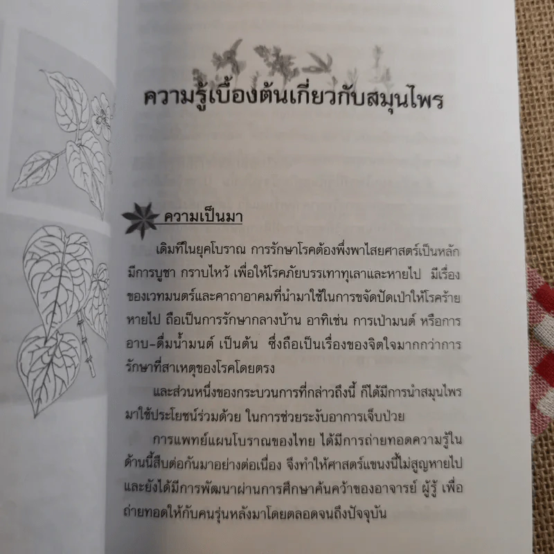 ยาสมุนไพร รักษาตามอาการ ตั้งแต่ศีรษะจรดเท้า - ดร.ปทัตตา ภริตาธรรม รูปที่ 12
