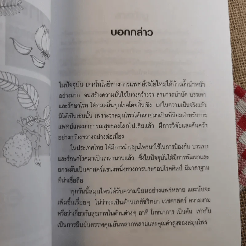 ยาสมุนไพร รักษาตามอาการ ตั้งแต่ศีรษะจรดเท้า - ดร.ปทัตตา ภริตาธรรม รูปที่ 8