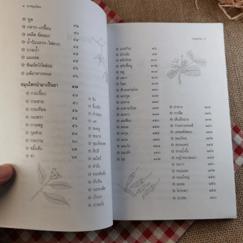 ยาสมุนไพร รักษาตามอาการ ตั้งแต่ศีรษะจรดเท้า - ดร.ปทัตตา ภริตาธรรม รูปที่ 11