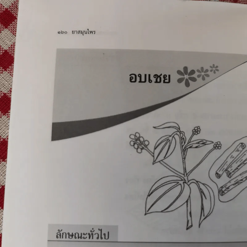 ยาสมุนไพร รักษาตามอาการ ตั้งแต่ศีรษะจรดเท้า - ดร.ปทัตตา ภริตาธรรม รูปที่ 14