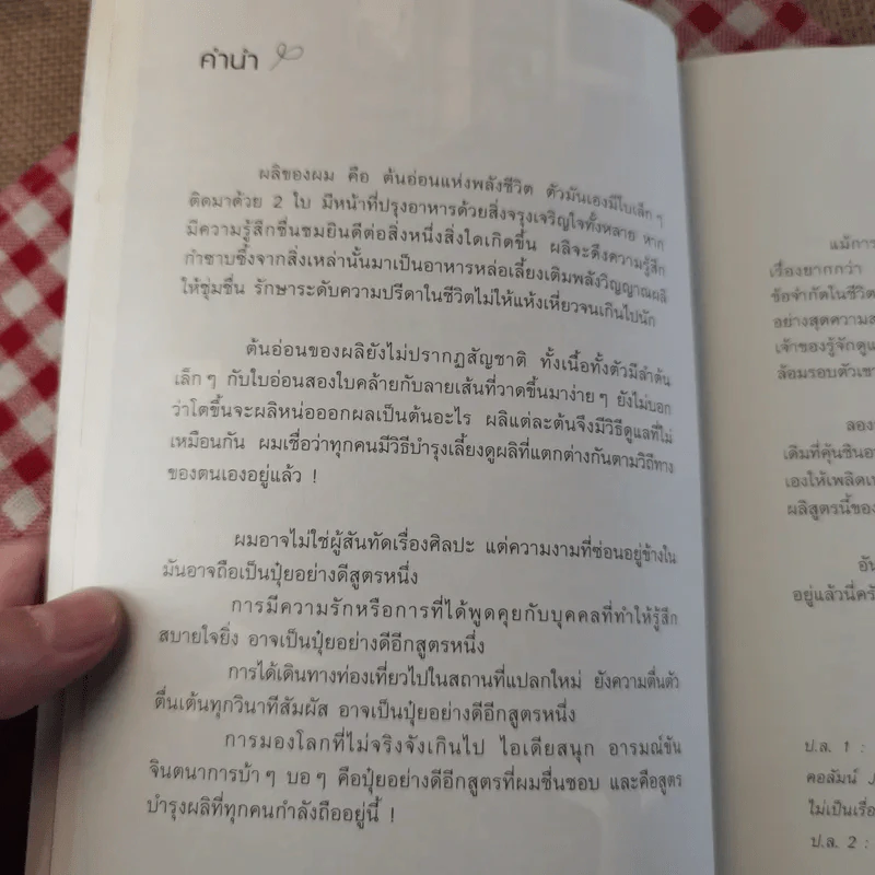 ผลิ - เจหวาน (คำนิยม อุดม แต้พานิช) รูปที่ 8