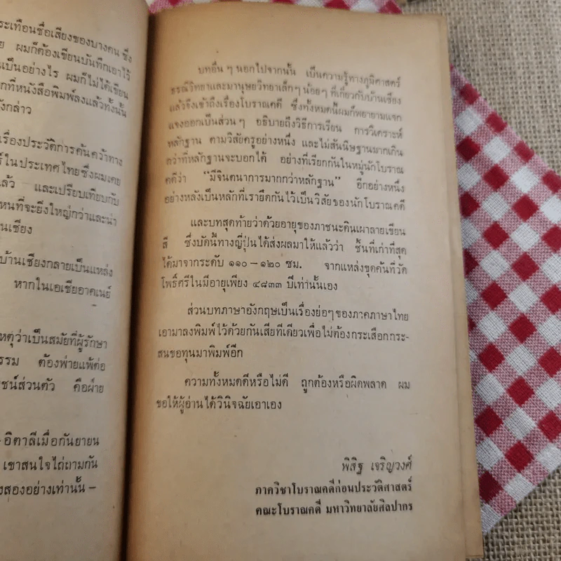 บ้านเชียง - พิสิฐ เจริญวงศ์ รูปที่ 19