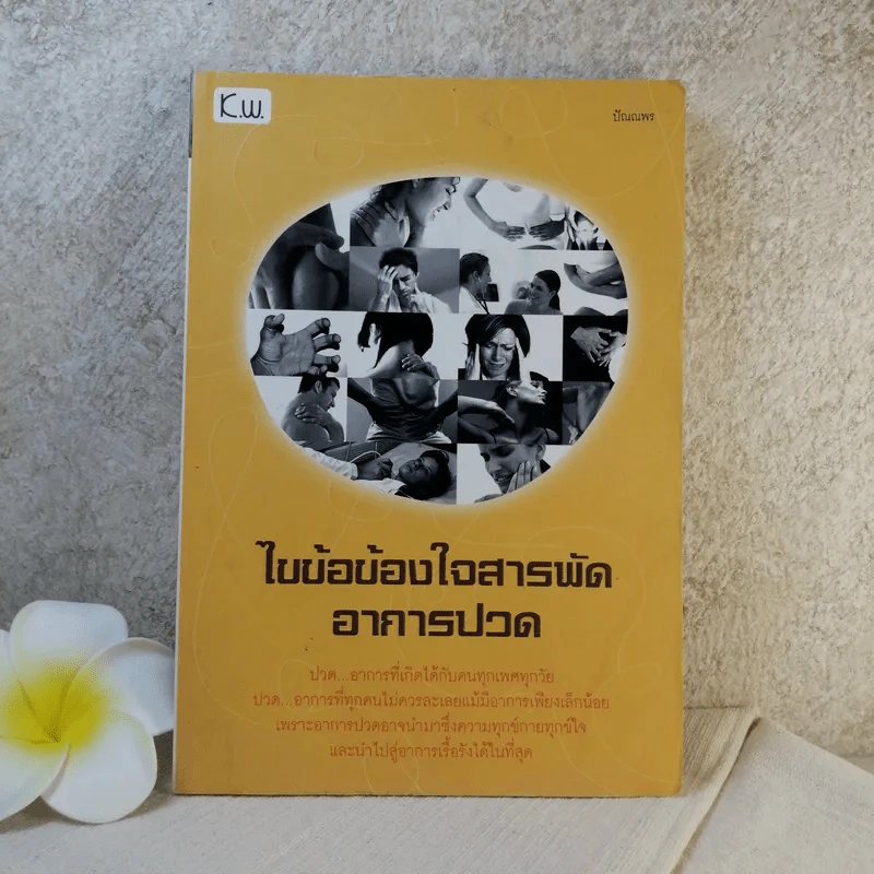 ไขข้อข้องใจสารถัดอาการปวด - ปัณณพร รูปที่ 1
