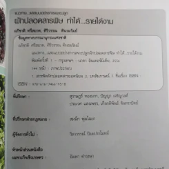 ผัก ปลอดสารพิษ ทำได้ รายได้งาม รูปที่ 7