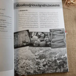 ผัก ปลอดสารพิษ ทำได้ รายได้งาม รูปที่ 11