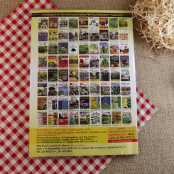 ผัก ปลอดสารพิษ ทำได้ รายได้งาม รูปที่ 2