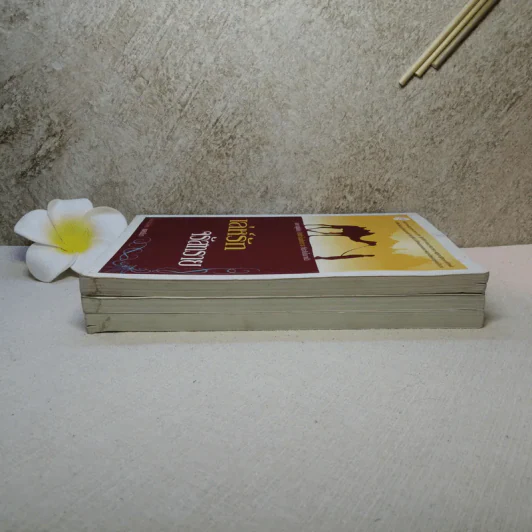 มนต์ทรายเสน่หา + เม็ดทรายใต้เรียวรุ้ง + เล่ห์รักจรัสทราย - เพลงมีนา รูปที่ 3