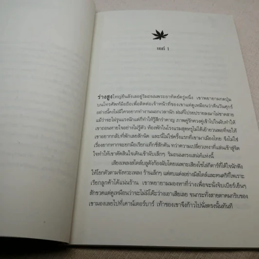 มนต์ทรายเสน่หา + เม็ดทรายใต้เรียวรุ้ง + เล่ห์รักจรัสทราย - เพลงมีนา รูปที่ 14