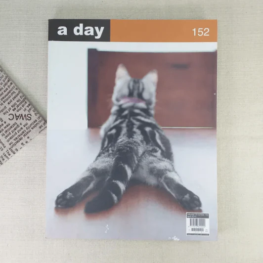 a day 152 แมว รูปที่ 1