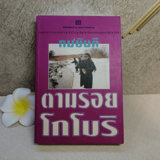 ตามรอยโกโบริ - ทมยันตี รูปที่ 3